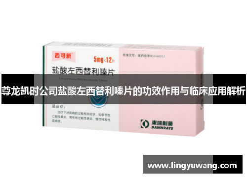 尊龙凯时公司盐酸左西替利嗪片的功效作用与临床应用解析